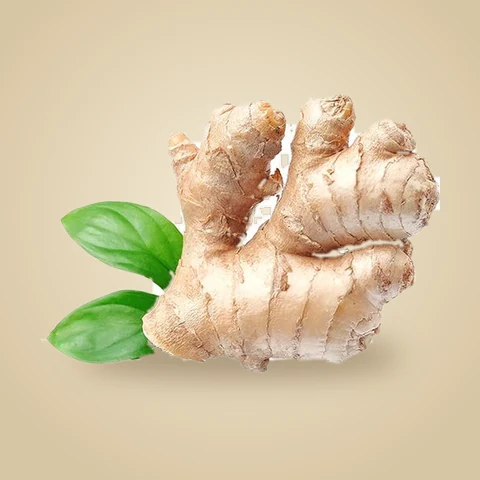 Ginger